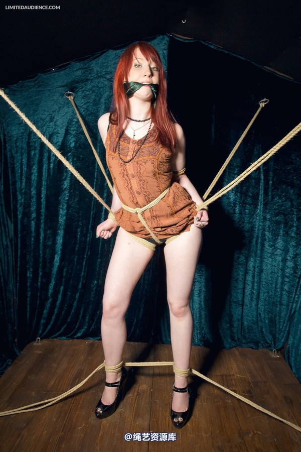 limitedaudience - 2013 syrah lee rope web 2 第 12 张图片