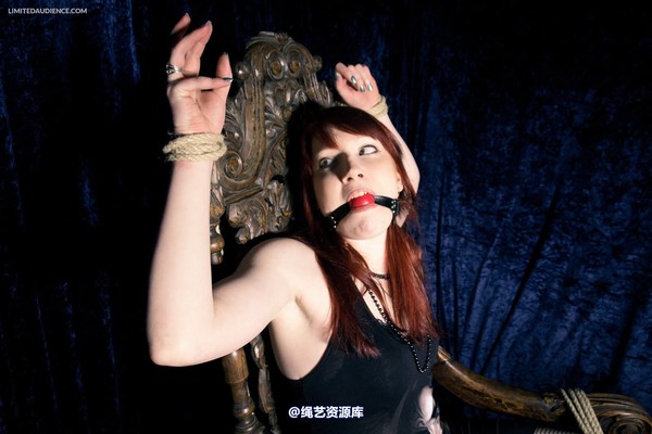limitedaudience - 2013 syrah lee defiant captive 2 第 23 张图片