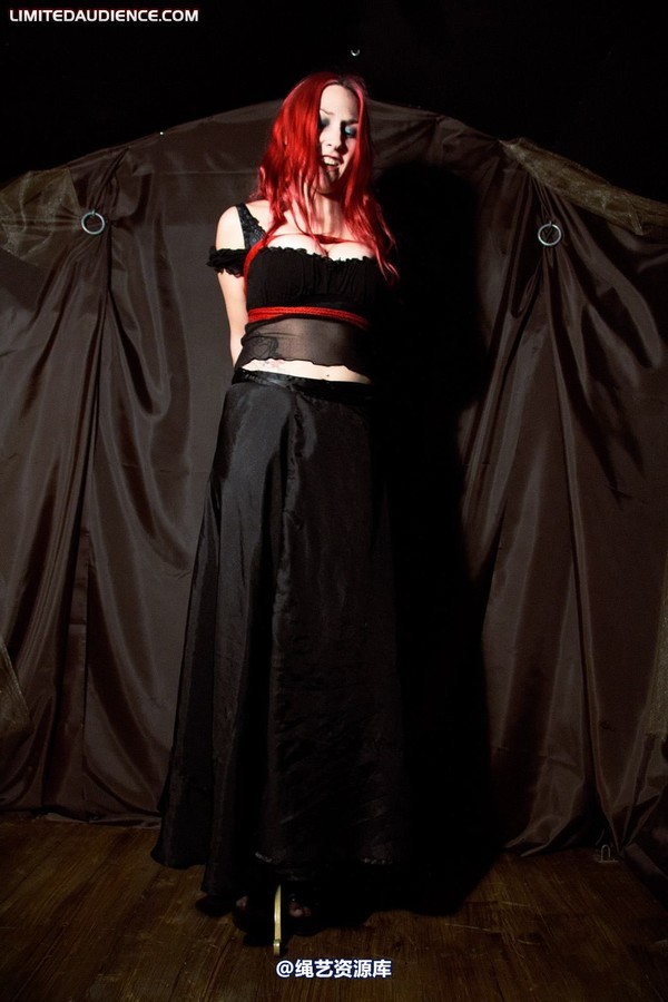 limitedaudience - 2010 elyssia bound to a pole 第 8 张图片