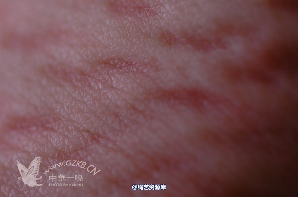 中华一晓 - 中华一晓 NO.0160 第 1 张图片