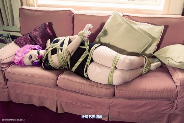 limitedaudience - 2013 assisted suicide interrupted ballet practice 3 第 31 张图片