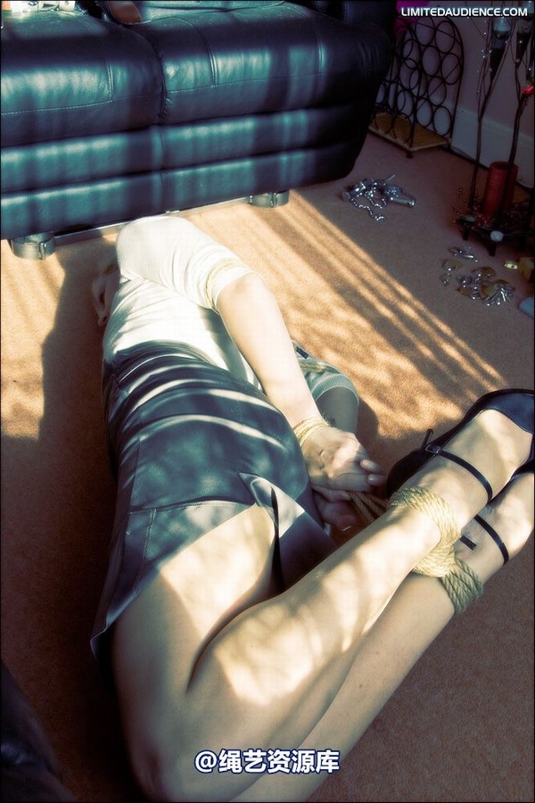 limitedaudience - 2008 ariel hogtied secretary 第 10 张图片