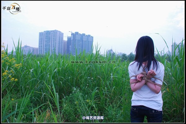 千丝万缕 - 2008-04-29-4日 第 7 张图片