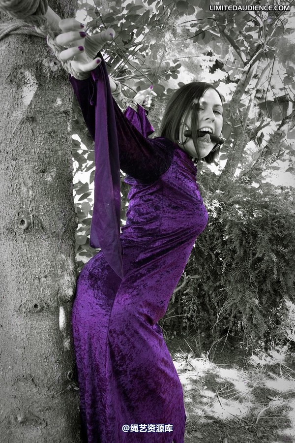 limitedaudience - 2011 carmina unwilling offering 2 第 2 张图片