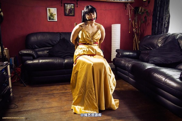 limitedaudience - 2013 dynamo golden satin 2 第 1 张图片