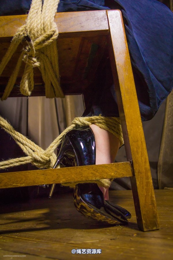limitedaudience - 2014 caroline pierce captured damsel 第 4 张图片