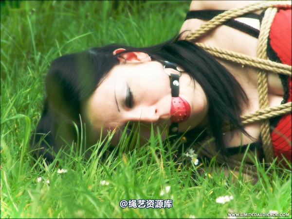 limitedaudience - 2007 asphyxia tied in red 第 32 张图片