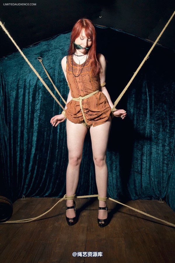 limitedaudience - 2012 syrah lee rope web 第 26 张图片
