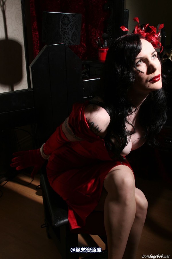 bondagebob - Morrigan Noir 第 23 张图片