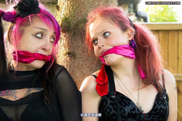 limitedaudience - 2011 beckykat loltaru moored to tree 2 第 19 张图片