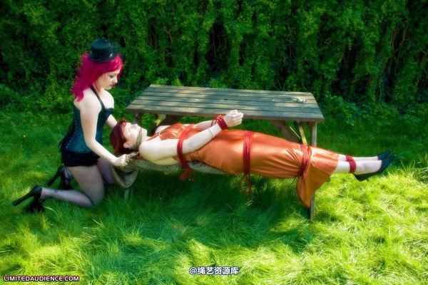 limitedaudience - 2009 scarlett shrinking violet the trap is set 第 28 张图片