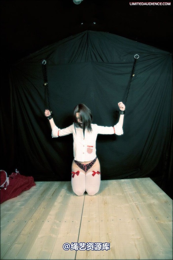 limitedaudience - 2008 blossom blois disciples of hoissy 2 第 2 张图片