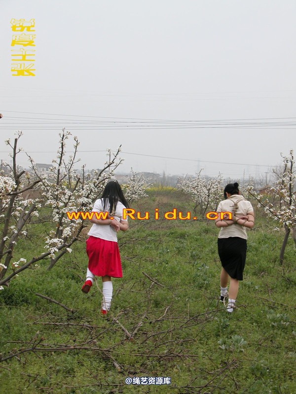 锐度主张 - 婷婷和寒冰梨花林中 第 4 张图片