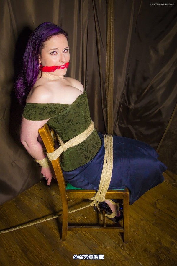 limitedaudience - 2014 caroline pierce captured damsel 第 31 张图片
