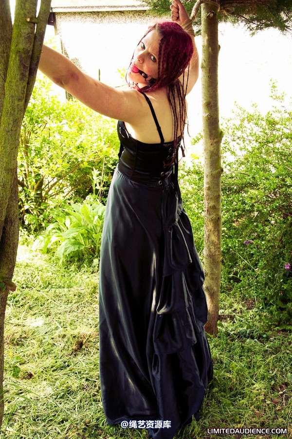 limitedaudience - 2011 beckykat between trees 2 第 12 张图片