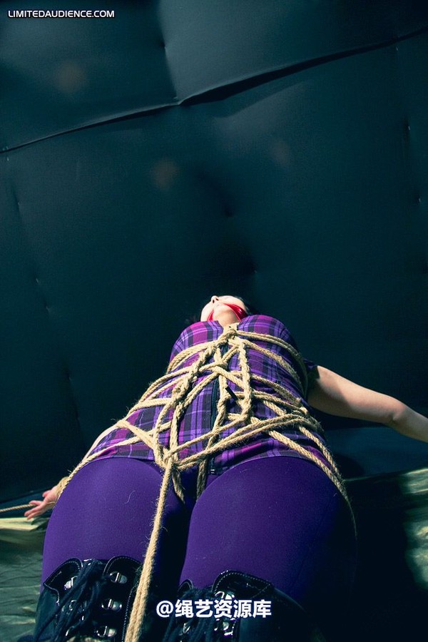 limitedaudience - 2009 deception bound tightly 第 23 张图片