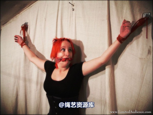limitedaudience - 2007 erin open arms 第 16 张图片
