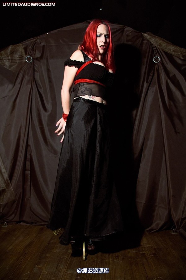 limitedaudience - 2010 elyssia bound to a pole 第 5 张图片