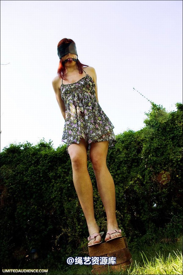 limitedaudience - 2008 scarlett blind balancing act 第 7 张图片