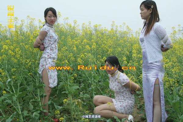 锐度主张 - 4月8日网友聚会室外篇1 第 51 张图片