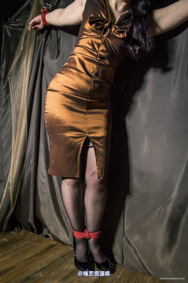 limitedaudience - 2015 caroline pierce bondage in bronze 2 第 12 张图片