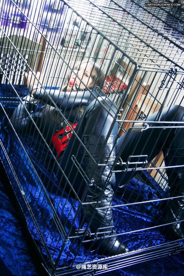 limitedaudience - 2012 sapphire cagey business 2 第 3 张图片