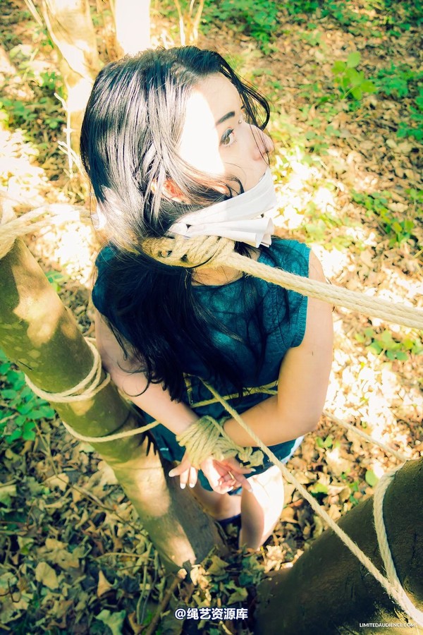 limitedaudience - 2015 stacey von in the forest 2 第 6 张图片