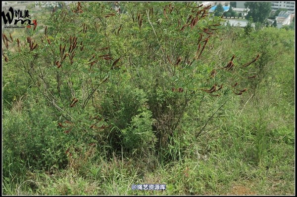唯美之家 - 武当山之行-群绑 第 168 张图片