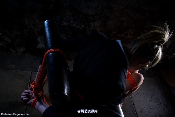 restrainedelegance - You WILL tell us, Miss Price 第 38 张图片