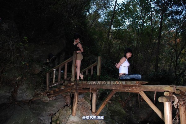 千丝万缕 - 20081113 第 20 张图片