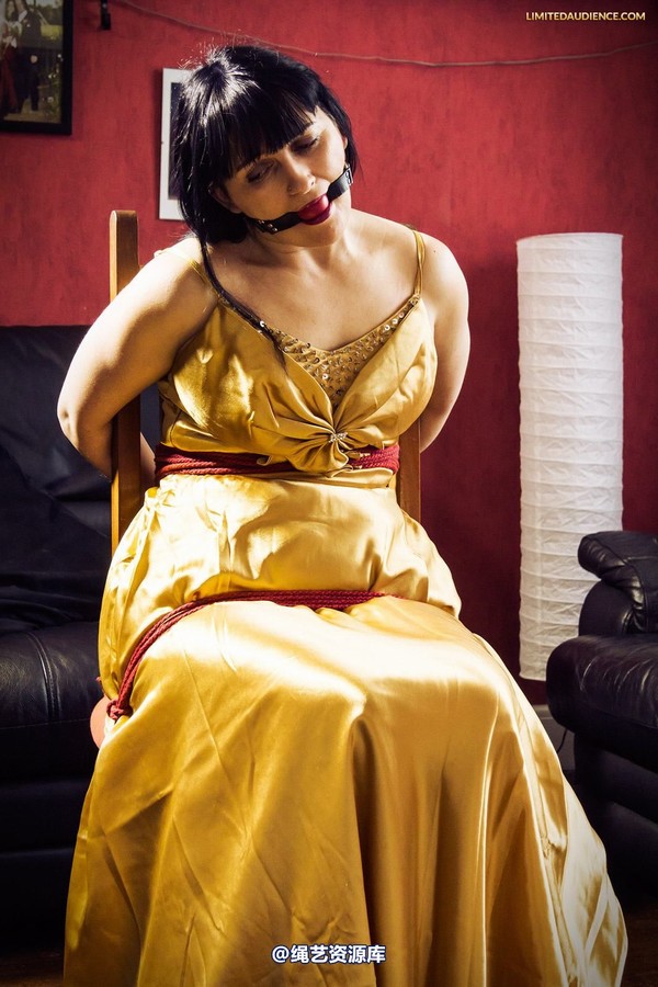 limitedaudience - 2013 dynamo golden satin 2 第 3 张图片