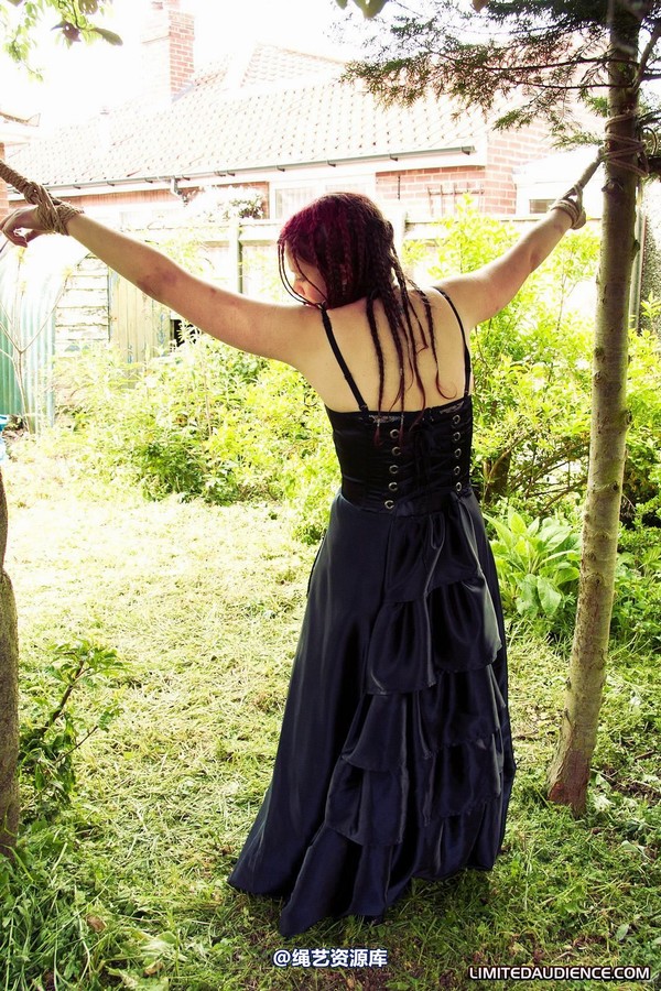 limitedaudience - 2011 beckykat between trees 2 第 4 张图片