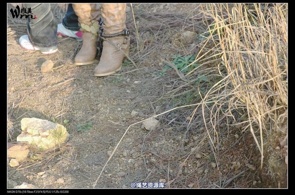 唯美之家 - 2008-11-13外拍(集体) 第 315 张图片