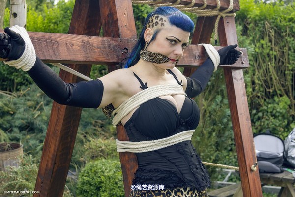 limitedaudience - 2013 raevan languishing on the cross 第 24 张图片