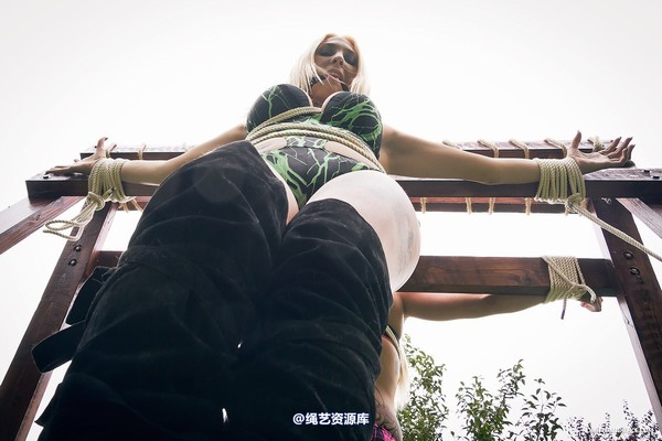 limitedaudience - 2014 demi jay elyssia double cross 2 第 18 张图片