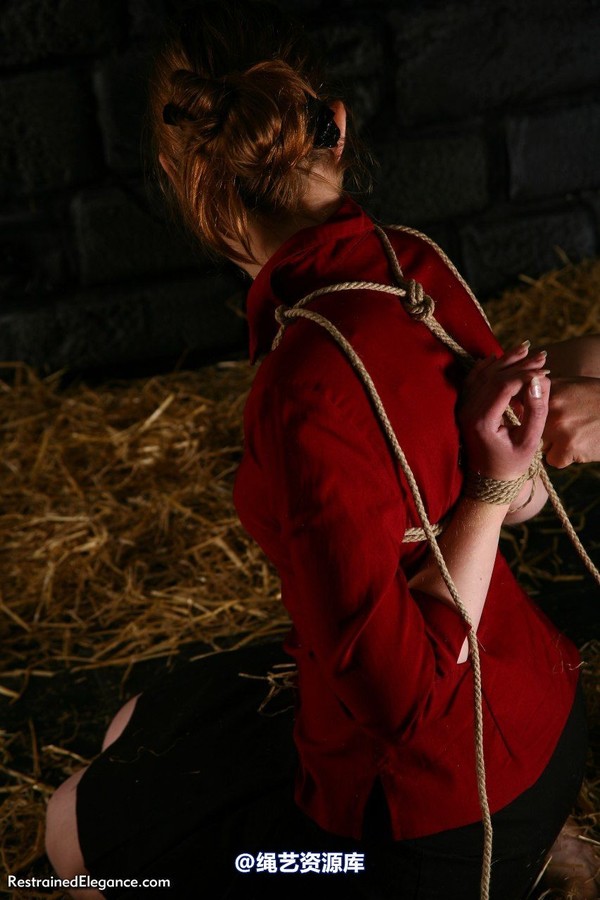 restrainedelegance - Businesswoman in the dungeon (Part One) 第 15 张图片