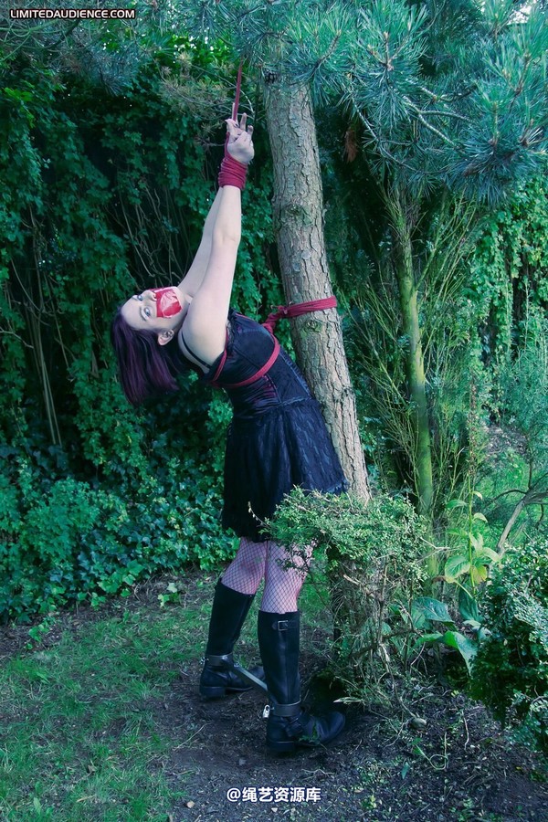 limitedaudience - 2011 carmina and the tree 3 第 24 张图片