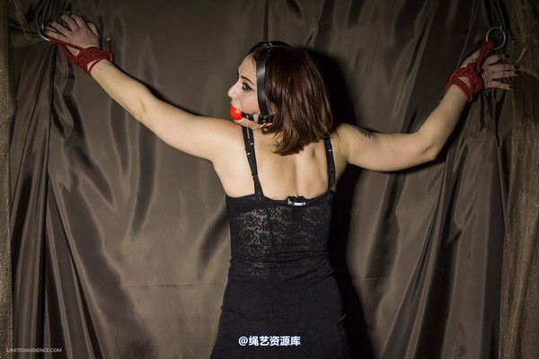 limitedaudience - 2014 ammalia up against the wall 2 第 27 张图片