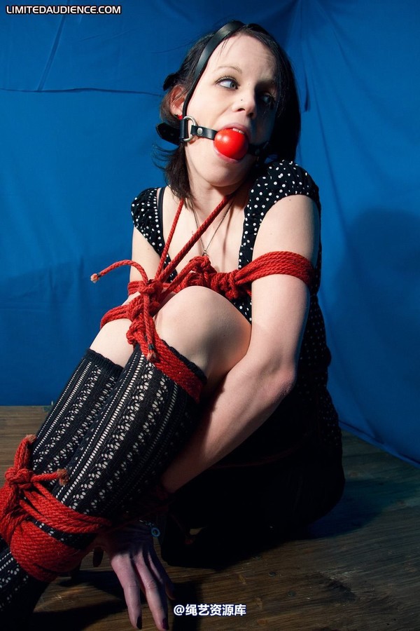 limitedaudience - 2011 luisa parcelled 第 20 张图片