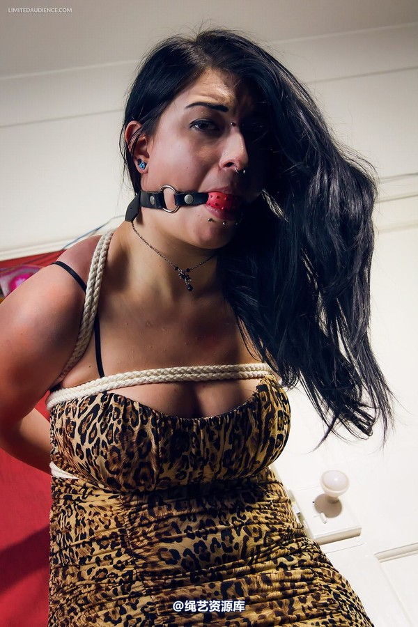 limitedaudience - 2014 stacey von strappado 2 第 31 张图片