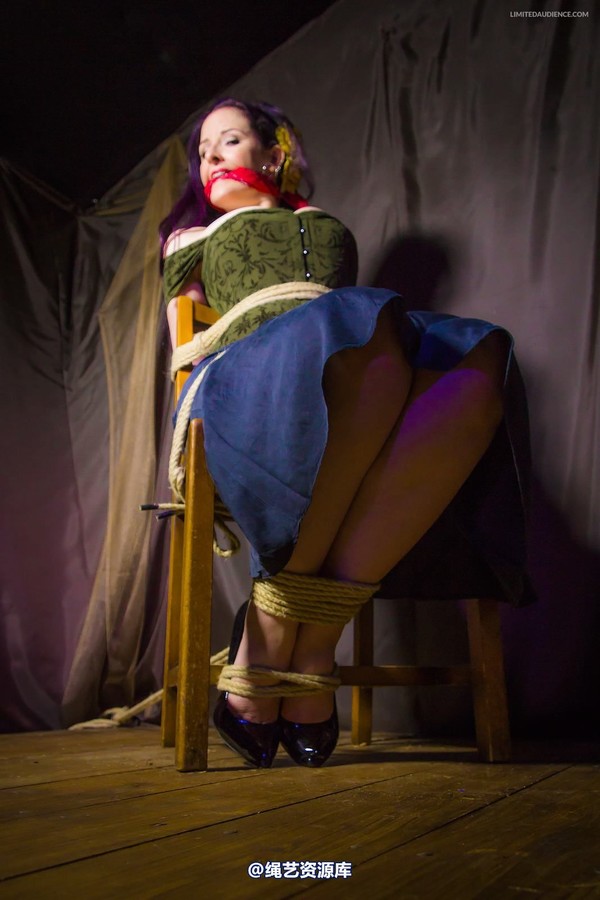 limitedaudience - 2014 caroline pierce captured damsel 第 18 张图片
