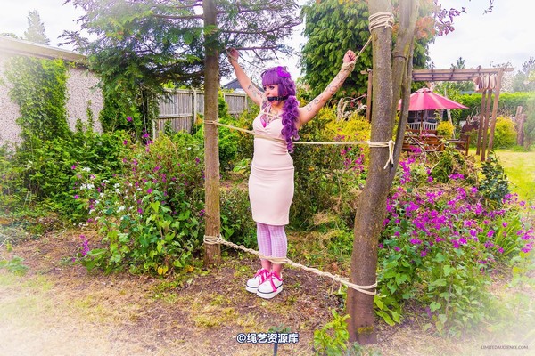 limitedaudience - 2015 kittysocks between trees 第 5 张图片