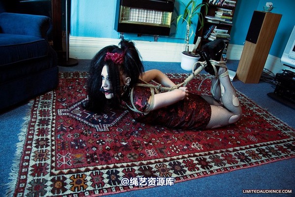 limitedaudience - 2008 andromedax hogtied 第 15 张图片