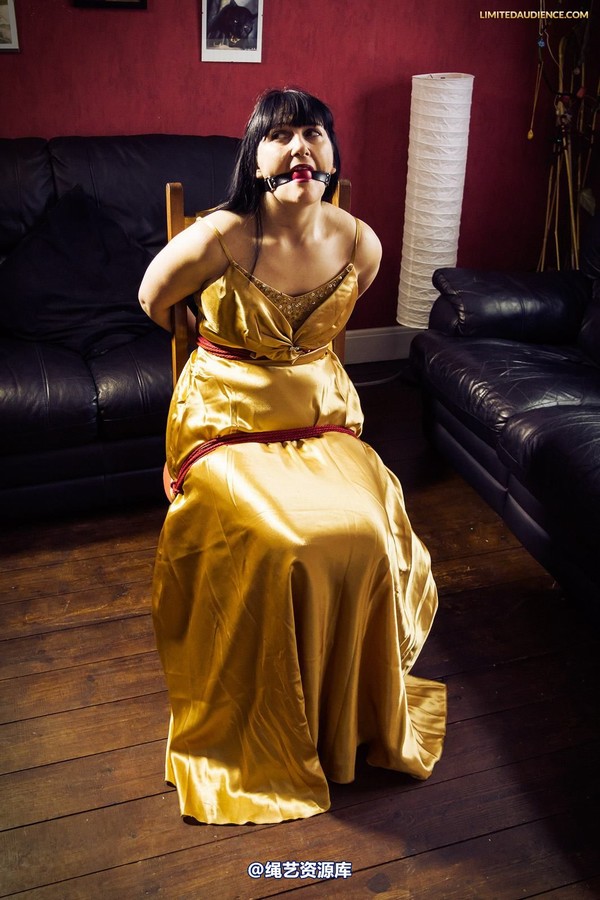 limitedaudience - 2013 dynamo golden satin 2 第 13 张图片