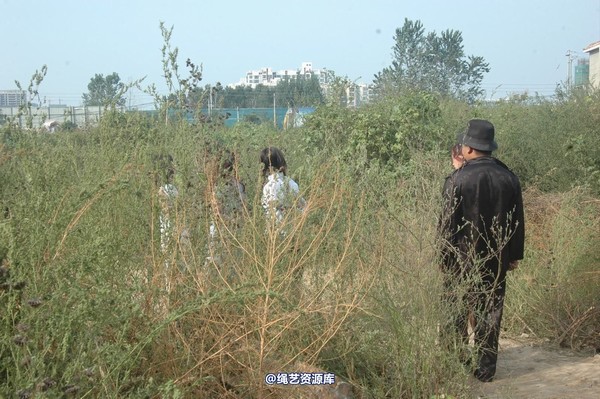 mj影视 - 生活不是戏 第 95 张图片