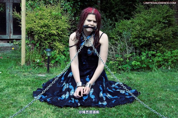 limitedaudience - 2010 beckykat chained and staked 第 2 张图片