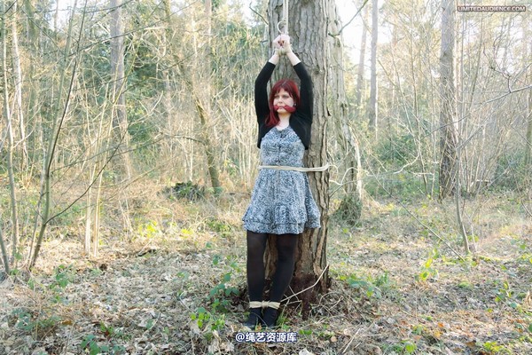 limitedaudience - 2012 scarlett far from help 第 2 张图片
