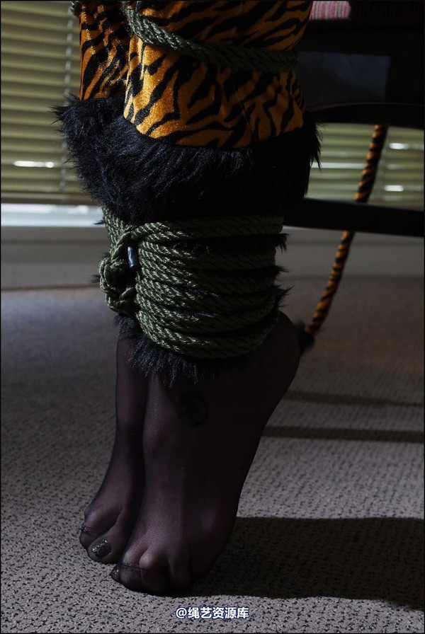 simplytied - A Tiger tied 第 27 张图片