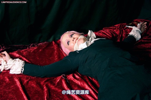 limitedaudience - 2009 assisted suicide internet date 第 29 张图片