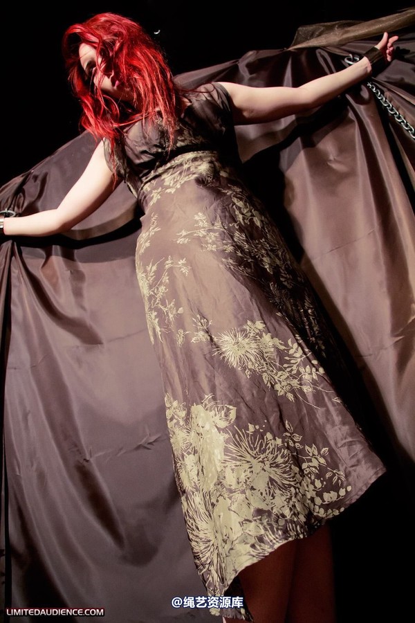 limitedaudience - 2011 ivory penance at home 第 18 张图片